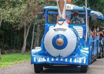 Zoológico asegura que donación de animales desde Puerto Rico no incluye especies venenosas