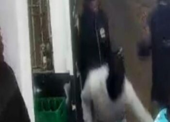 Activan búsqueda de cuatro delincuentes tras asalto a personas en cafetería de San Isidro