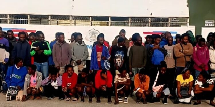 Ejército detiene más de 500 nacionales haitianos indocumentados 