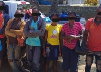 Detienen a 378 haitianos por delitos medioambientales