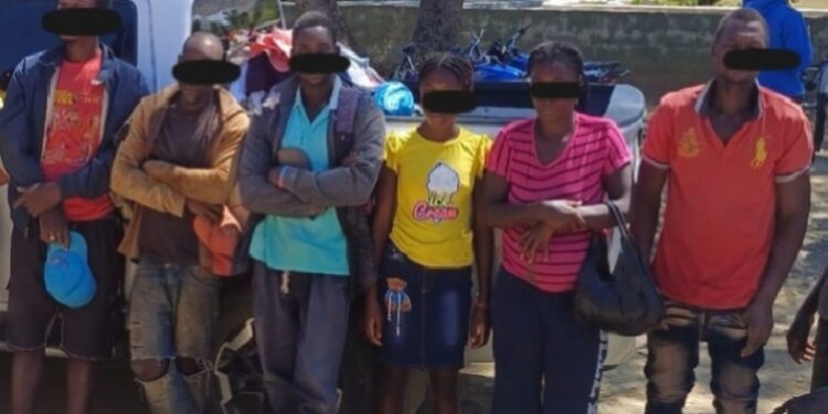 Detienen a 378 haitianos por delitos medioambientales