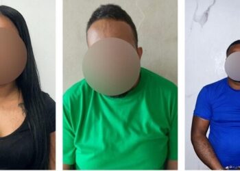 Policía Cibernética detiene a seis por fraude y estafa electrónica