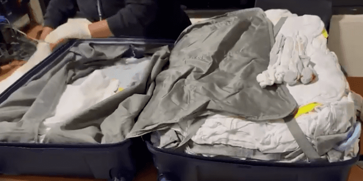 Detienen a domínico-italiana que pretendía salir del país con cocaína en su equipaje