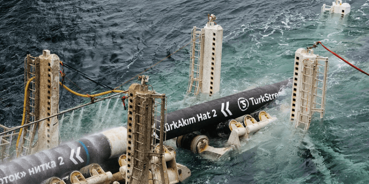 Putin denuncia intentos de volar dos gasoductos clave en el mar Negro