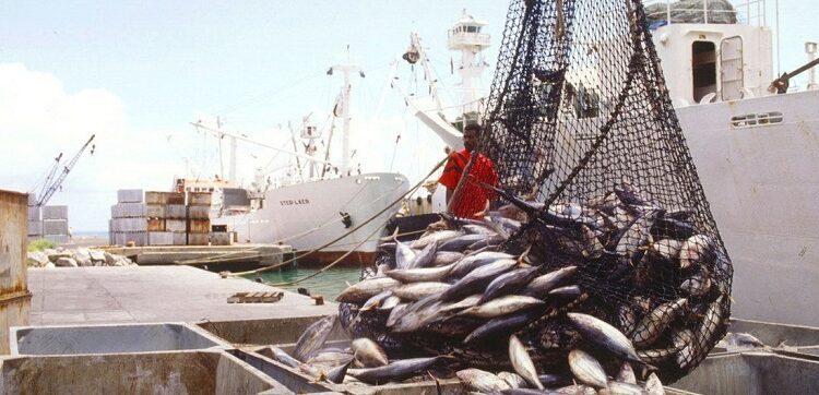 ¿El pescado que pagas es el que comes? El fraude que engaña al consumidor y pone en riesgo la salud