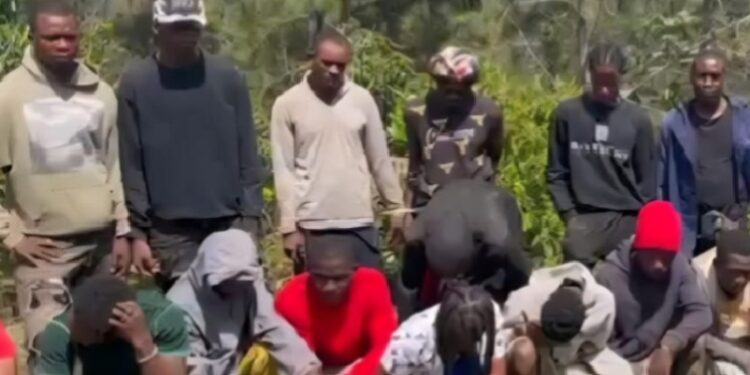 Ejército intercepta grupo de 36 haitianos indocumentados en Santiago Rodríguez