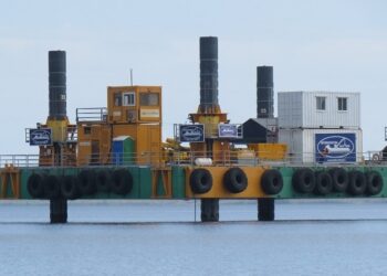 Mangrove Action Project alerta al presidente Abinader sobre impacto del Proyecto Energía 2000
