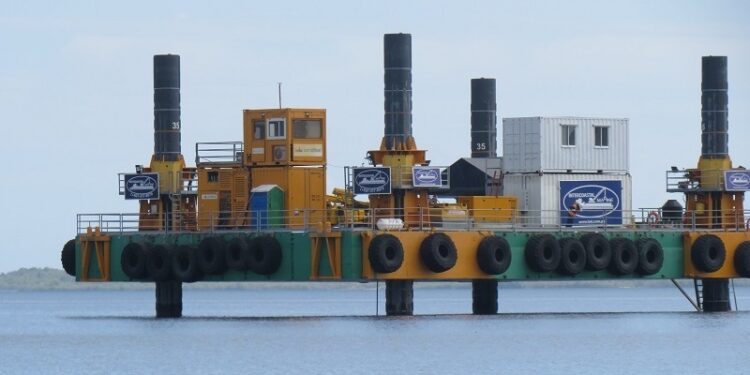 Mangrove Action Project alerta al presidente Abinader sobre impacto del Proyecto Energía 2000