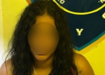 Policía Nacional arresta en La Vega a mujer por presuntos delitos tecnológicos
