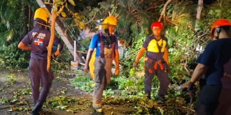 Bomberos y Alcaldía del Distrito Nacional retiran árboles caídos tras fuertes vientos