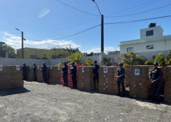 Dintel de la Policía y la DGA incautan 545 televisores en operativo