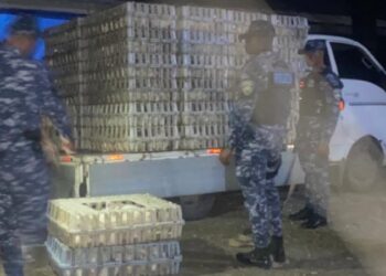 Policía Nacional recupera más de 600 pollos robados de una granja en La Vega