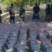 Ocupan alijo de 978 paquetes de cocaína y capturan a tres venezolanos