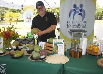 Anuncian Festival del Mango 2026 en Mayagüez