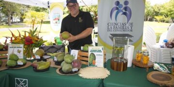 Anuncian Festival del Mango 2026 en Mayagüez