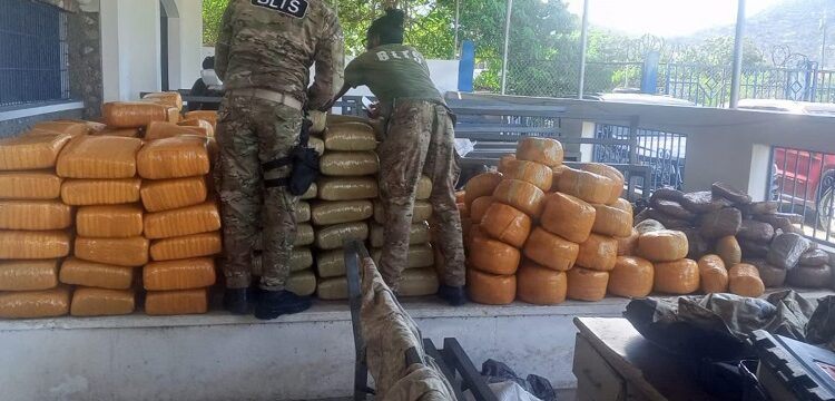 Guardia Costera y Armada de EEUU interceptan embarcación y ocupan 1.450 kilogramos de marihuana frente a costas de Haití