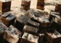 Ejército ocupa contrabando de aceite de motor introducido desde Haití 