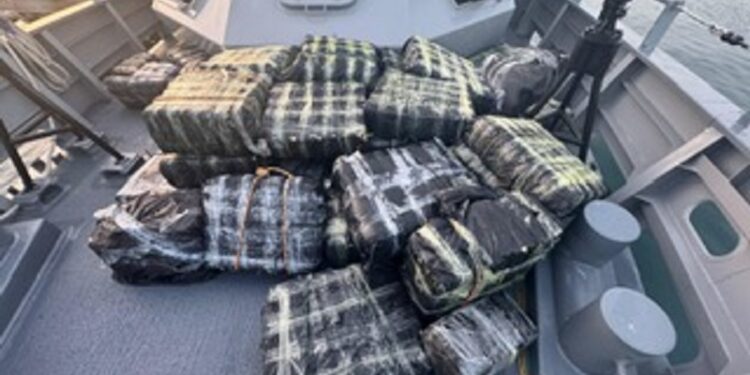 Autoridades ocupan 1.743 paquetes de marihuana y cocaína