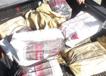 Autoridades federales detienen polizón e incautan cocaína valorada en 4.8 millones de dólares