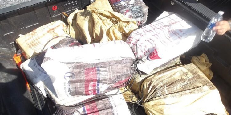 Autoridades federales detienen polizón e incautan cocaína valorada en 4.8 millones de dólares