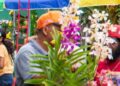 Festival de las Flores dinamiza economía en Jarabacoa