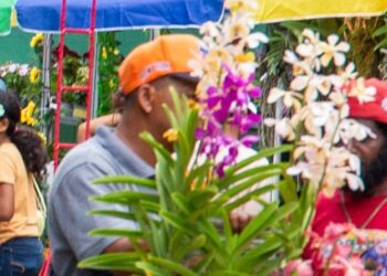 Festival de las Flores dinamiza economía en Jarabacoa