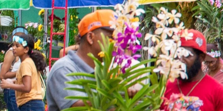 Festival de las Flores dinamiza economía en Jarabacoa