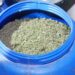 Desmantelan cultivo de marihuana en San José de Ocoa y arrestan a tres hombres