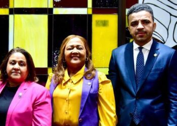 EL PLD escoge nueva vocería en la Cámara de Diputados