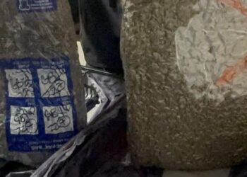La DNCD decomisa más de 28 libras de marihuana en el aeropuerto de Las Américas