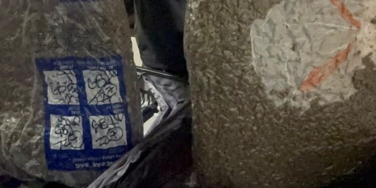 La DNCD decomisa más de 28 libras de marihuana en el aeropuerto de Las Américas