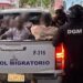 Operativos migratorios se extienden a provincias fronterizas, turísticas y urbanas