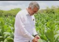 Exportaciones de tabaco de RD aumentan un 86% entre enero y junio del 2026
