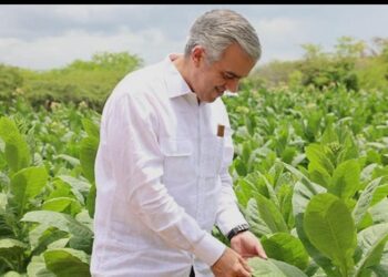 Exportaciones de tabaco de RD aumentan un 86% entre enero y junio del 2026