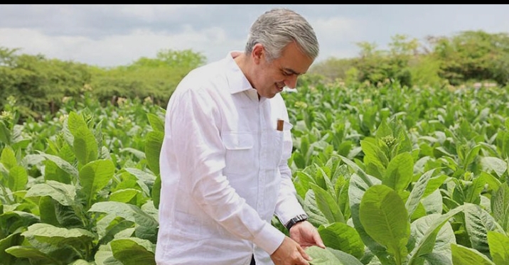 Exportaciones de tabaco de RD aumentan un 86% entre enero y junio del 2026