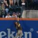 ¿Será este robo de grand slam de Tatis Jr. la mejor jugada de su carrera?