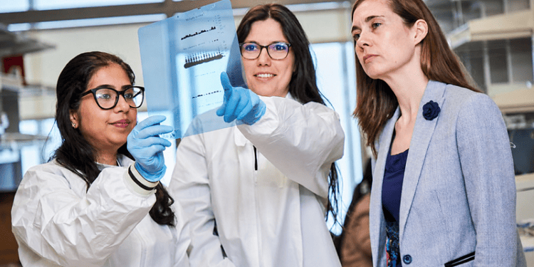 Un inesperado componente de la dieta podría favorecer la propagación del cáncer