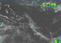 Ambiente caluroso y de pocas lluvias