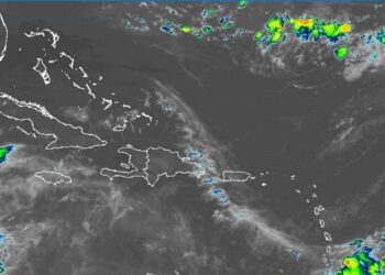 Ambiente caluroso y de pocas lluvias