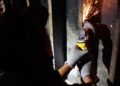 Incautan 303 paquetes de cocaína en Puerto Multimodal Caucedo