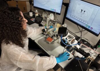 Subvenciones fortalecen la investigación en neurociencias en el Recinto de Ciencias Médicas de la UPR