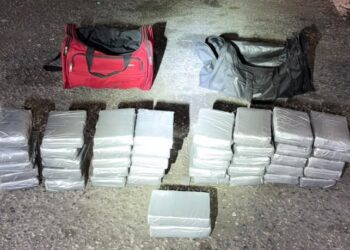 Autoridades se incauta de 42 paquetes de presunta cocaína en el Puerto Multimodal Caucedo