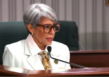 Cámara inicia evaluación para modernizar la ley que protege la zona del Carso
