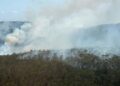 Oobservatorio de áreas protegidas alerta sobre emergencia por incendios forestales en RD