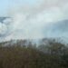 Oobservatorio de áreas protegidas alerta sobre emergencia por incendios forestales en RD