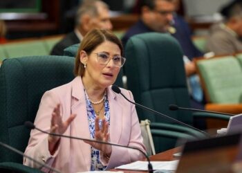 Exdirectora de la AEE asegura Josué Colón conocía detalles del contrato con Power Expectations