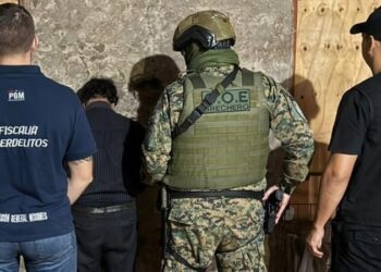 95 detenidos en una operación contra la distribución de material de abuso sexual infantil