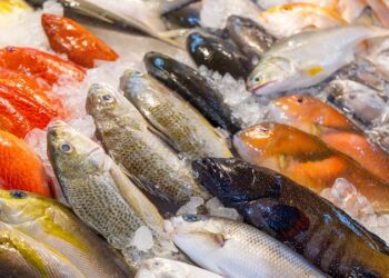 El pescado que ayuda a cuidar la tiroides, regular la presión arterial y proteger la vista