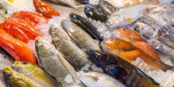 El pescado que ayuda a cuidar la tiroides, regular la presión arterial y proteger la vista