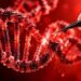 Cáncer de próstata: una prueba podría ayudar a saber quién necesita terapia hormonal adicional